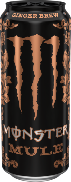 Monster Energy Ginger